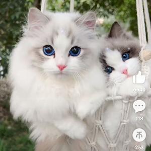 曾经是情侣(Live)_C.