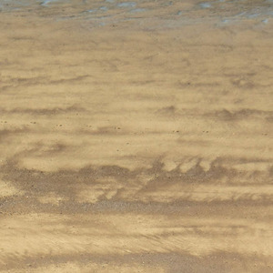 The Last Page of My Diary (Blank)