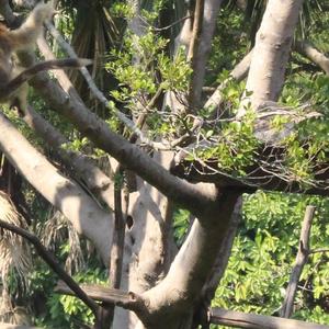 归来仍少年 （哼唱版）