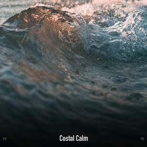 Calming Waters For Studying