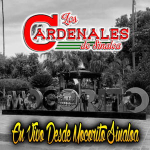 Cartas Marcadas (En Vivo)