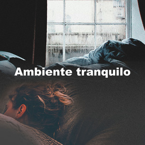 Ilimitadas Reflexion