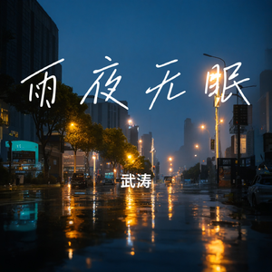 雨夜无眠