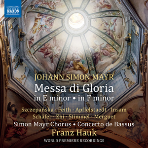 Mass in E Minor (Bergamo Angelo Mai Library Collection 108-14a-c and 85-17):Qui sedes (Tenor)