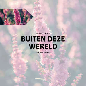 Voorkom slapeloosheid