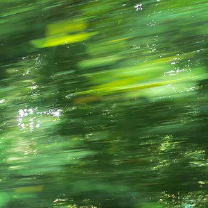 你要是在我身边就好了