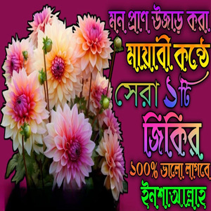 মন প্রাণ উজাড় করা মায়াবী কন্ঠে সেরা একটি জিকির