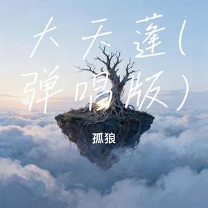 大天蓬 (弹唱版) (孤狼 Remix)