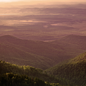 দয়াল নবী গো
