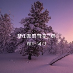 梦中飘落雨湿了身