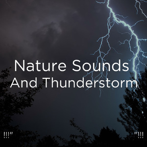 뇌우 소리 수면