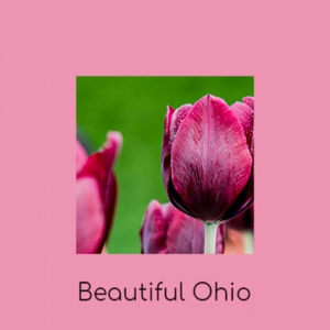 Hands Across The Table