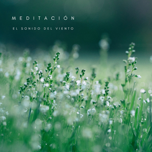 Belleza De La Naturaleza