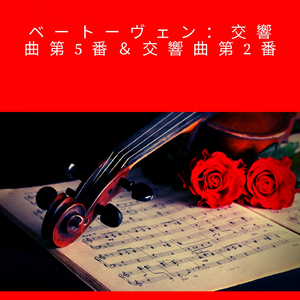 Symphony No. 5, in C Minor, Op. 67: III. Allegro