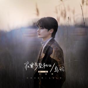 乌鸦（翻自 文俊辉）