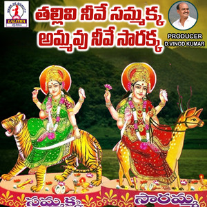 Thallivi Neve Samakka