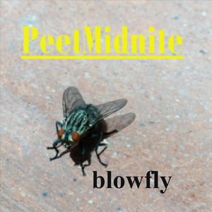 Blowfly