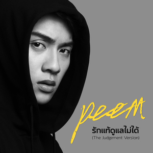 รักแท้ดูแลไม่ได้ (เพลงประกอบซีรีส์ "The Judgement Like ได้เรื่อง")