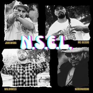 N.S.E.L. (feat. Nardo Nardini, Jabiswana & Waloh Weed)