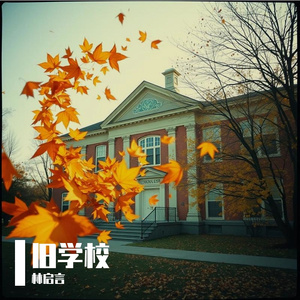 旧学校