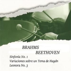 Symphony No. 1 in C Minor, Op. 68: III. Un poco allegretto e grazioso
