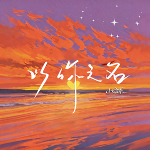 以你之名伴奏95