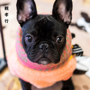ママのお手伝い