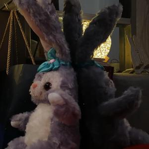 想讲个宇宙给你听