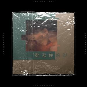 Why Not-看无你的影