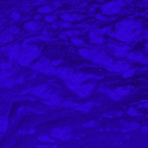 this life is just a memory