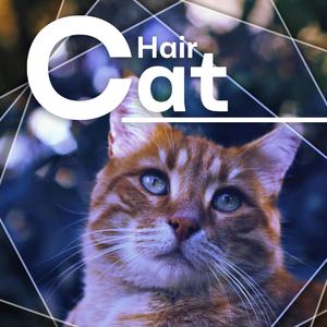 Rainbows And Chainsaws