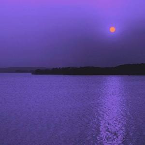 「free」今 晚 比 昨 夜 更 难 入 睡