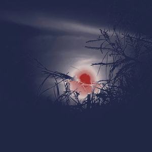 这算什么（prod by pvki）