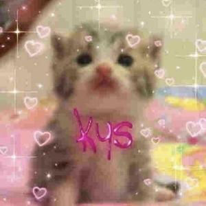 kys (feat. sv1c!d∆l*)