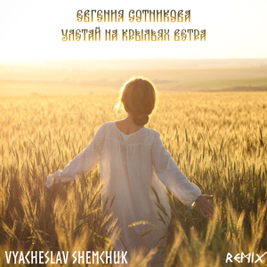 Улетай на крыльях ветра (Vyacheslav Shemchuk Remix)
