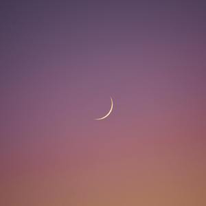 星星想见你想见你想见你