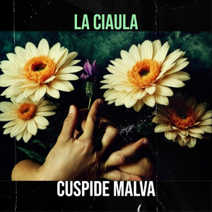 La Ciaula