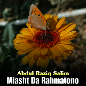 Par Makh Me Wacha We Niqab Da Meni