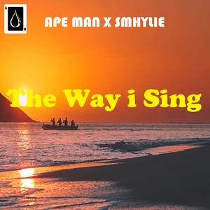 The Way i Sing