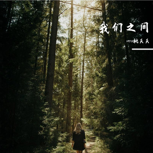 我们之间，我们之外（《司藤》主题曲）