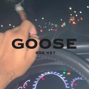 Goose