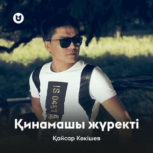 Қинамашы жүректі