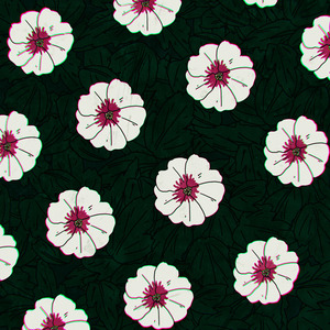 シャロンのばら