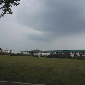 零感
