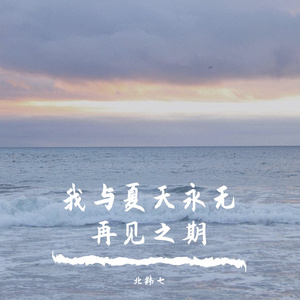我与夏天永无再见之期