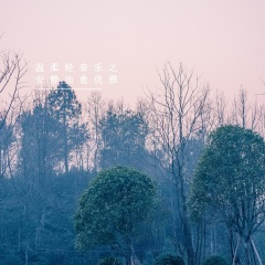 远方有风吹来 (轻音乐)