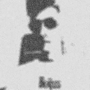 黑鸟迷失寡妇村