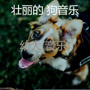 服从-狗