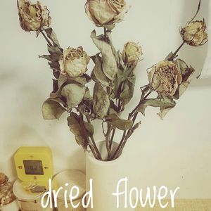 ドライフラワー/干花