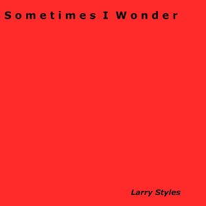 Sometimes I Wonder